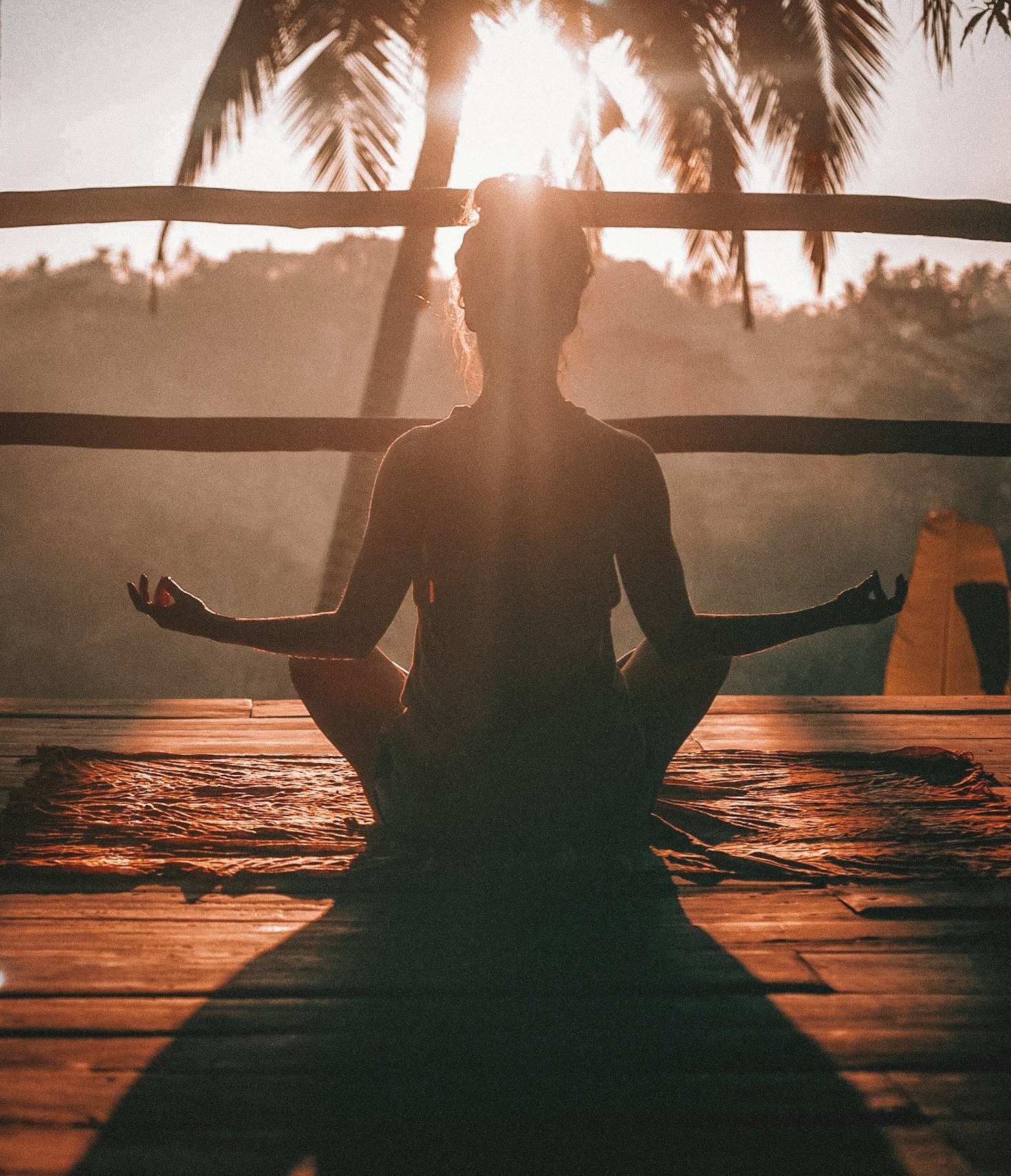 Understanding The Basics Of Holistic Wellness